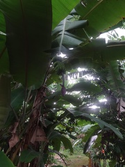 20190309-095352(06002)