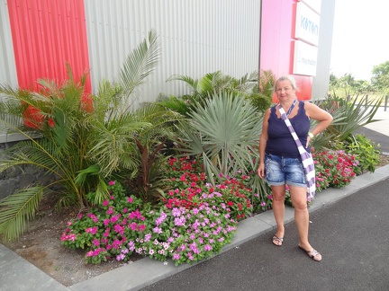 20190313-144809(06236)