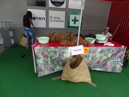 20190313-144947(06237)