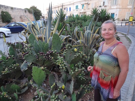 20150714-195646(02764)