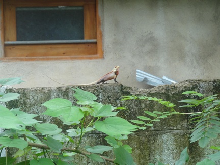 20130523-102408(DSC04988)