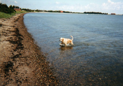2000.08-10(30)-03