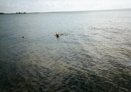 2000.08-10(30)-05