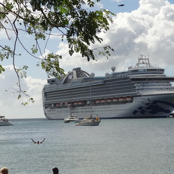 04.Martinique=Мартиник