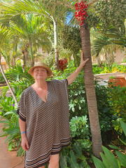 20251122-132600(Alx)