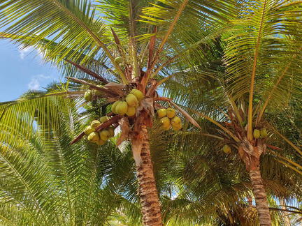 20251129-133059(Alx)