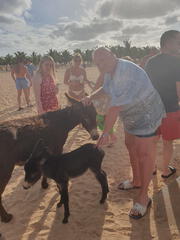 20251129-160627(Alx)