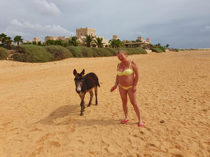 20251204-112305(Alx)